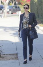 EMMY ROSSUM Out Shopping in Beverly Hills 11/30/2017