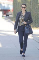 EMMY ROSSUM Out Shopping in Beverly Hills 11/30/2017