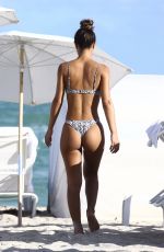 ERIKA WHEATON in Bikini at a Beach in Miami 12/05/2017