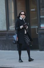 FAMKE JANSSEN Out and About in New York 12/21/2017