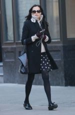 FAMKE JANSSEN Out and About in New York 12/21/2017