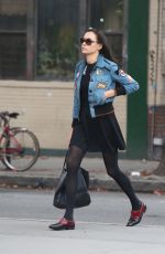 FAMKE JANSSEN Out for Lunch in New York 12/03/2017