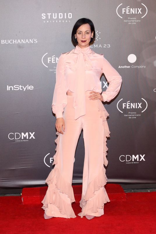 GABY DE LA GARZA at Fenix Film Awards in Mexico City 12/06/2017
