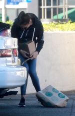 GAL GADOT Shopping at Whole Foods in Los Angeles 12/29/2017