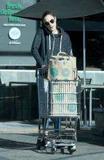 GAL GADOT Shopping at Whole Foods in Los Angeles 12/29/2017