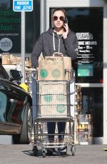GAL GADOT Shopping at Whole Foods in Los Angeles 12/29/2017