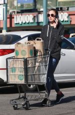 GAL GADOT Shopping at Whole Foods in Los Angeles 12/29/2017