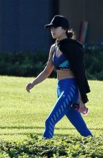 HAILEE STEINFELD in Tights Out and About in Maui 12/25/2017