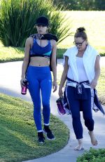 HAILEE STEINFELD in Tights Out and About in Maui 12/25/2017
