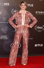 IRENA AZUELA at Fenix Film Awards in Mexico City 12/06/2017