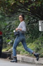 IRINA SHAYK in Jeans Out in Los Angeles 12/10/2017