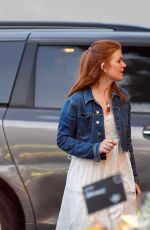 ISLA FISHER Shopping at Bristol Farms in Los Angeles 12/10/2017