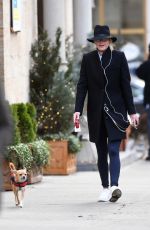 JENNIFER LARENCE Out Walks Her Dog in New York 12/18/2017