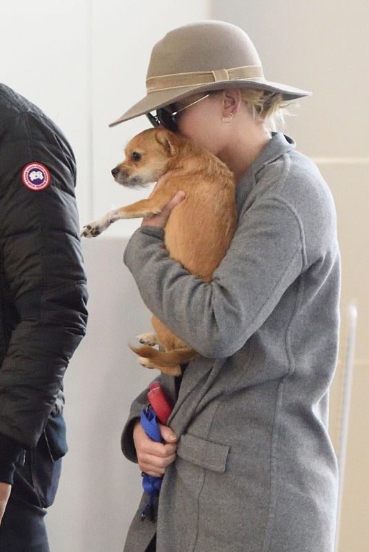 JENNIFER LAWRENCE with Her Dog at JFK Airport in New York 12/30/2017