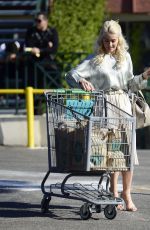 JULIANNE HOUGH Shopping at Whole Foods Market in Los Angeles 12/25/2017