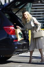 JULIANNE HOUGH Shopping at Whole Foods Market in Los Angeles 12/25/2017