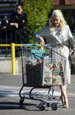 JULIANNE HOUGH Shopping at Whole Foods Market in Los Angeles 12/25/2017