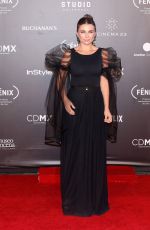 LUDWIKA PALETA at Fenix Film Awards in Mexico City 12/06/2017