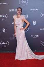 MARIBEL VERDU at Fenix Film Awards in Mexico City 12/06/2017