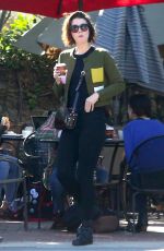 MARY ELIZABETH WINSTEAD Out for Lunch in Los Angeles 12/05/2017