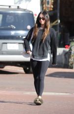 MEGAN FOX Out in Malibu 12/01/2017