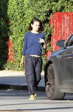 MILA KUNIS Out in Los Angeles 11/30/2017