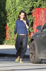 MILA KUNIS Out in Los Angeles 11/30/2017