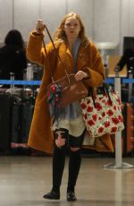 MOLLY QUINN Out and About in Los Angeles 12/20/2017