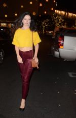 NATASHA BLASICK Out Shopping in Los Angeles 11/30/2017