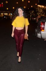 NATASHA BLASICK Out Shopping in Los Angeles 11/30/2017