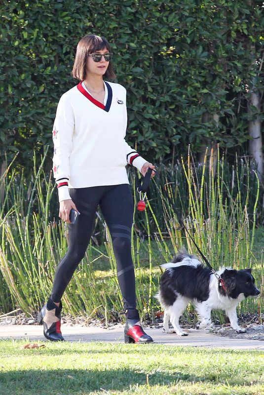 NINA DOBREV Out with Her Dog in Los Angeles 12/01/2017