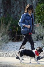 NINA DOBREV Out with Her Dog Maverick in Hollywood 12/16/2017