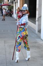 PHOEBE PRICE Out with Her Dog in Los Angeles 12/29/2017