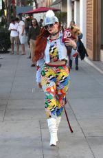 PHOEBE PRICE Out with Her Dog in Los Angeles 12/29/2017