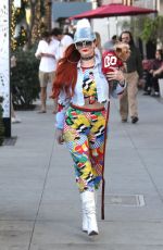PHOEBE PRICE Out with Her Dog in Los Angeles 12/29/2017