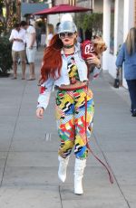 PHOEBE PRICE Out with Her Dog in Los Angeles 12/29/2017