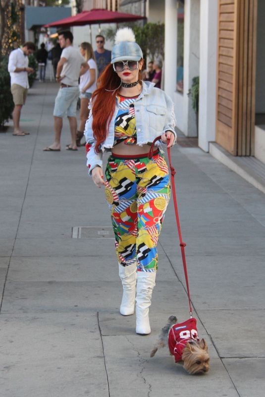 PHOEBE PRICE Out with Her Dog in Los Angeles 12/29/2017