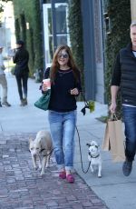SELMA BLAIR Out Shopping in Los Angeles 12/21/2017