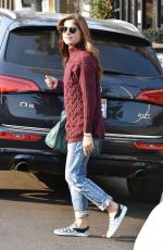 SELMA BLAIR Out with Her Dogs in Studio City 12/16/2017