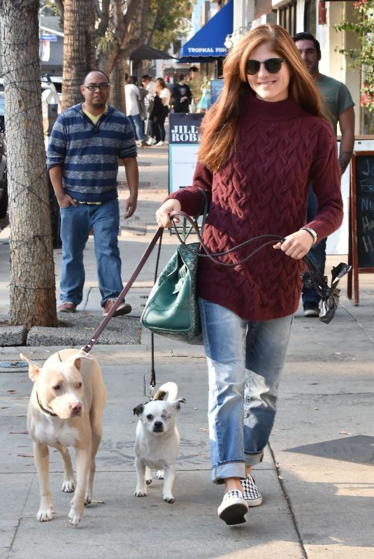 SELMA BLAIR Out with Her Dogs in Studio City 12/16/2017