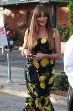 SOFIA VERGARA Leaves Gracias Madre in West Hollywood 12/02/2017
