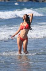 TANIA MARIE in Bikini for 138 Water Photoshoot in Venice Beach 12/11/2017