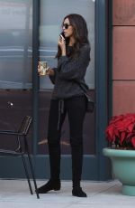 TERRI SEYMOUR Out and About in Beverly Hills 12/15/2017