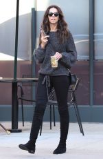 TERRI SEYMOUR Out and About in Beverly Hills 12/15/2017