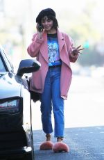 VANESSA HUDGENS Out and About in Los Angeles 12/29/2017