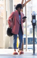 VANESSA HUDGENS Out and About in Los Angeles 12/29/2017