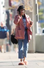 VANESSA HUDGENS Out and About in Los Angeles 12/29/2017