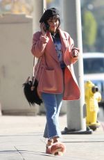 VANESSA HUDGENS Out and About in Los Angeles 12/29/2017
