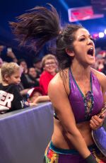 WWE -  2017 Champions