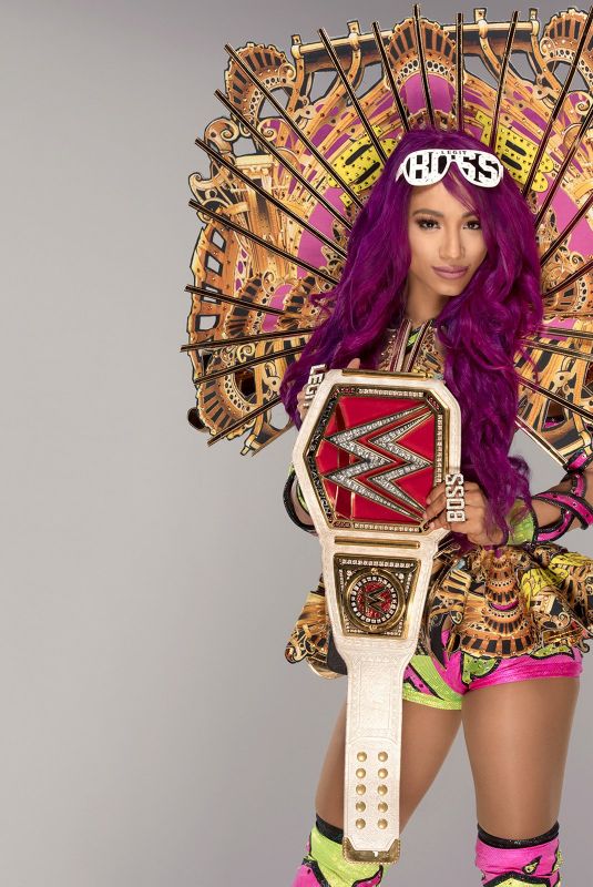 WWE -  2017 Champions